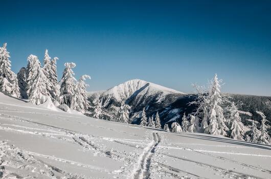 Okruh z Pece pod Sněžkou přes Liščí horu